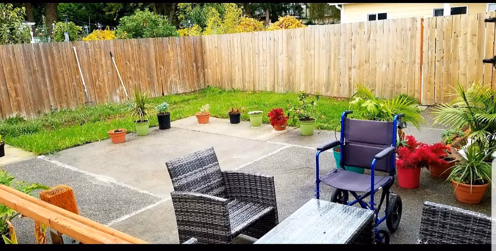 Outdoor patio area with a wooden fence surrounding a grassy yard. Several potted plants are arranged along the edge of the patio. There are two wicker chairs and a glass-top table on the patio, along with a blue wheelchair. The setting appears to be a calm and accessible garden space.