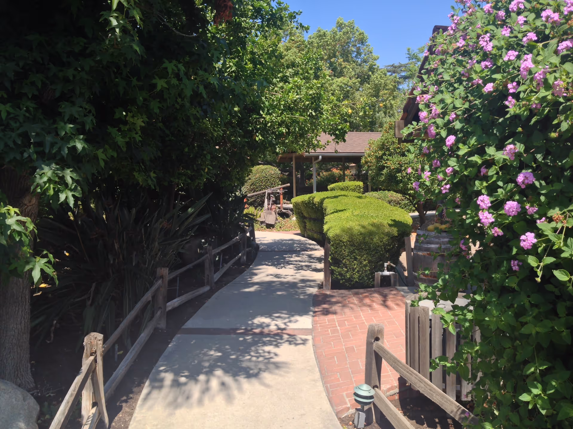 A sunny outdoor pathway lined with wooden fences and lush greenery including trimmed bushes, trees, and flowering plants with purple blossoms. In the background, there is a covered structure with a brown roof.