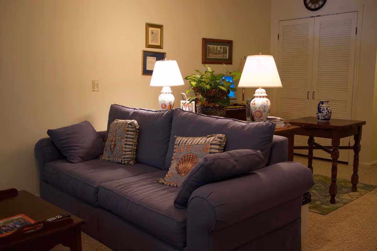 Cozy living room with a blue sofa, patterned throw pillows, two table lamps, and a wooden side table with plants.