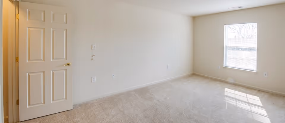 Empty carpeted bedroom with a closed six-panel door, a window letting in sunlight, and plain white walls.