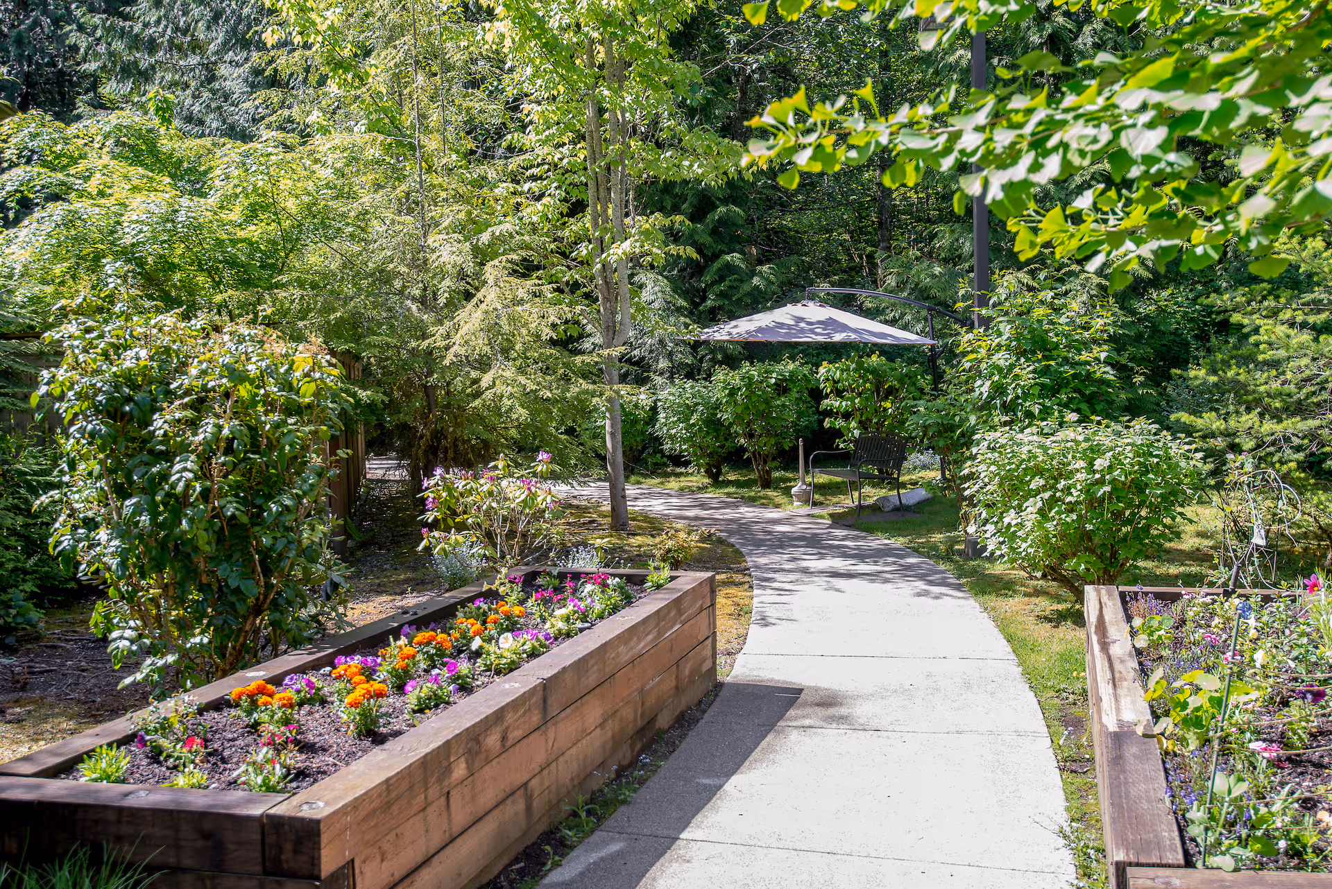 A winding concrete pathway through a lush garden with raised wooden flower beds filled with colorful flowers. There are green trees and bushes surrounding the path, and a bench with a large umbrella providing shade is visible in the background.