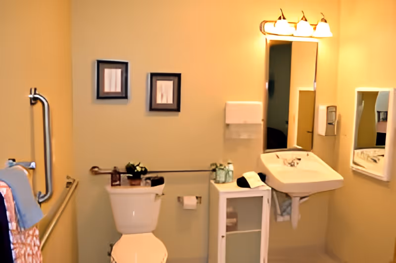 Accessible bathroom with a toilet, wall-mounted sink, grab bars, mirror, and a small storage cabinet.