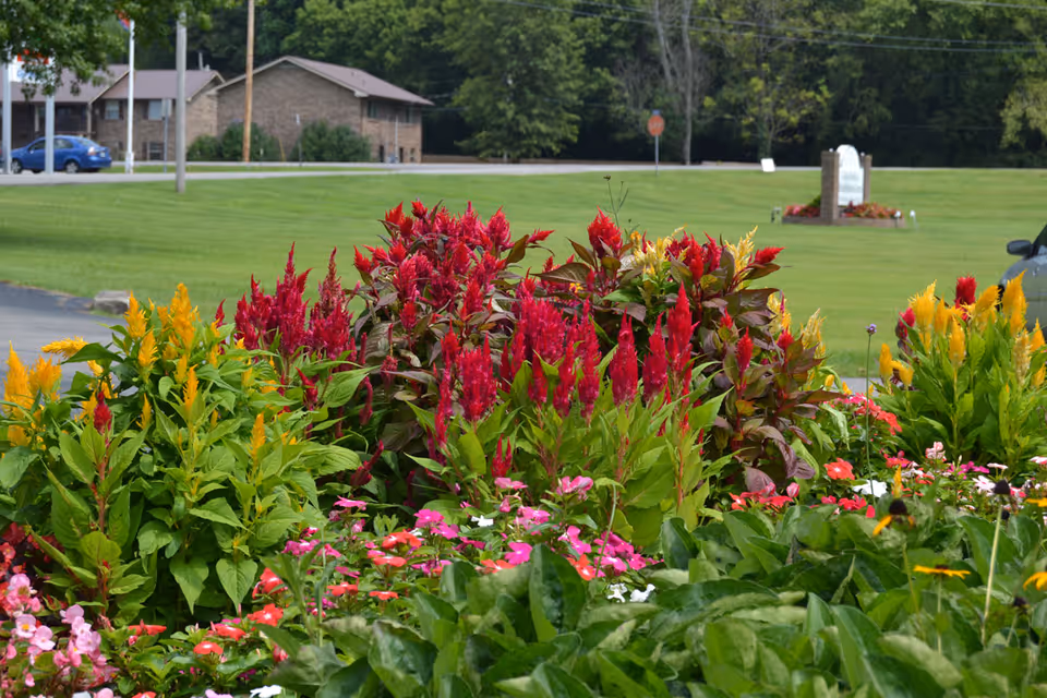 A colorful flower bed of red, pink, and yellow blooms with a grassy lawn and a brick building in the background.