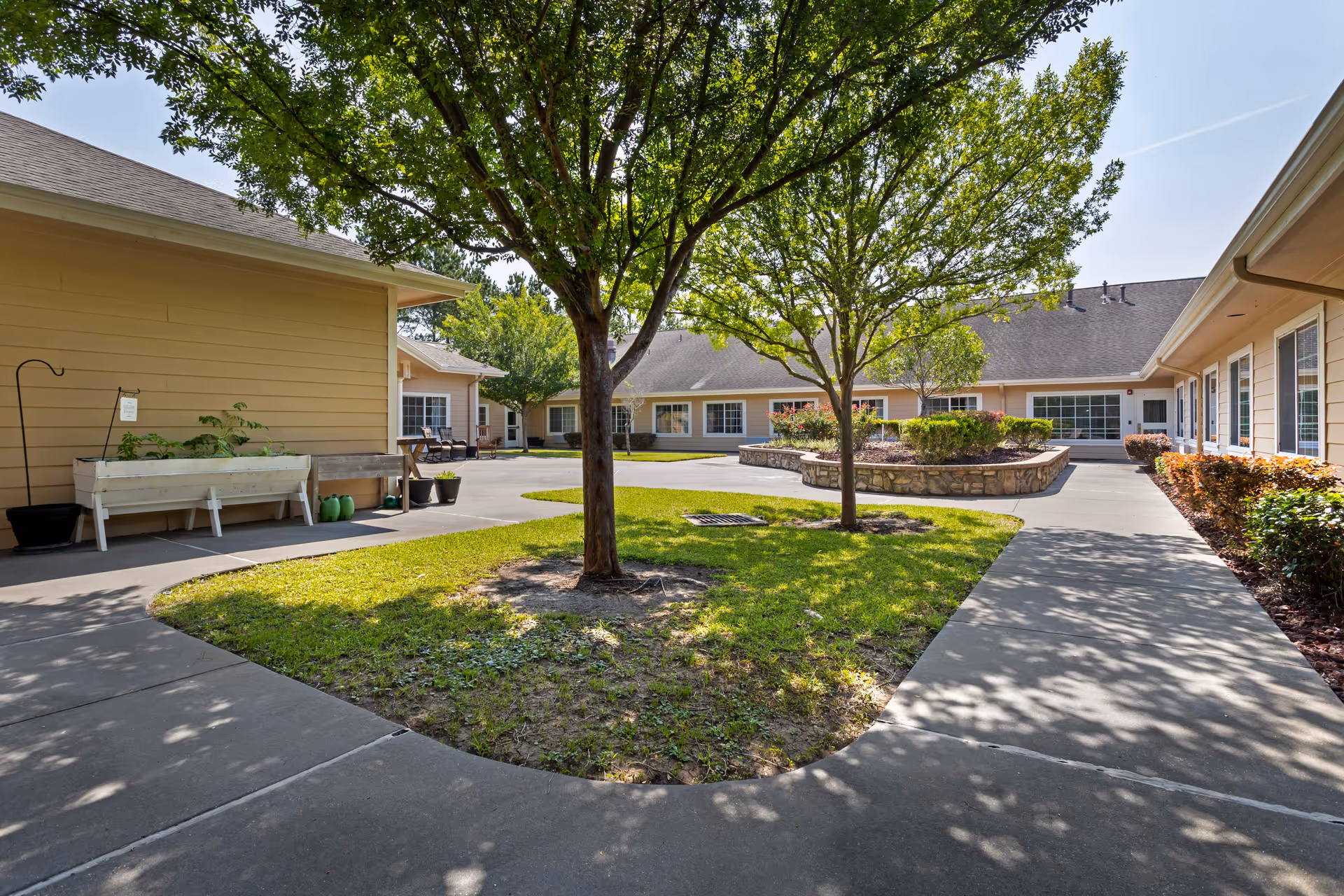 Outdoor courtyard area at Cedar Ridge Alzheimer's Special Care Center featuring a paved walkway surrounding a grassy area with two trees and a raised stone planter with shrubs. The courtyard is enclosed by single-story buildings with beige siding and multiple windows. The scene is sunny with clear skies.