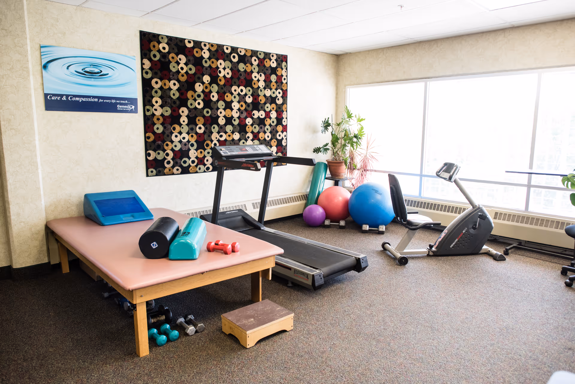 A well-lit exercise room with a treadmill, stationary bike, exercise balls, dumbbells, and a padded exercise table with various workout equipment on it. There is a large window letting in natural light and a decorative wall hanging above the treadmill.
