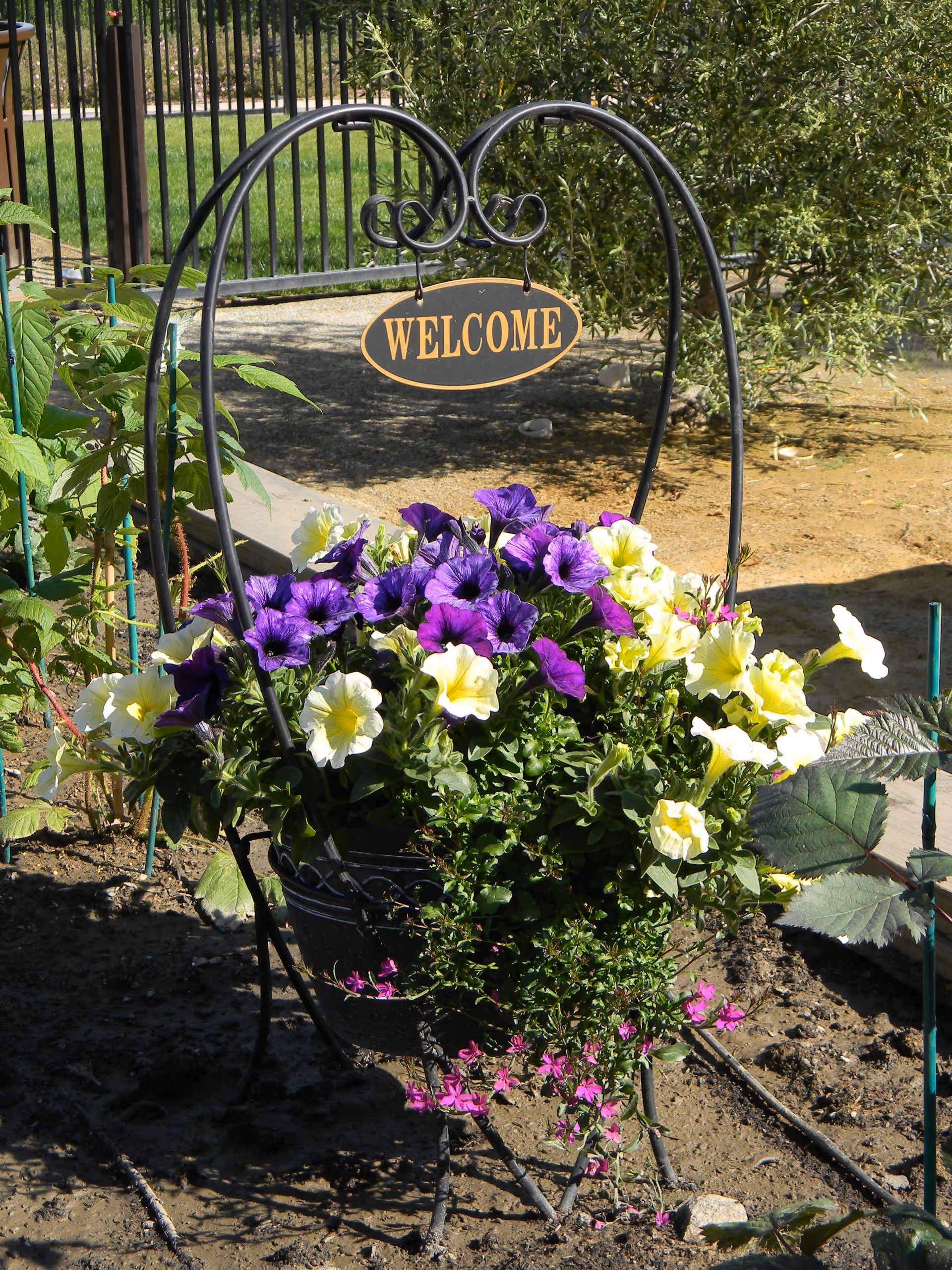 A decorative black metal chair holding a flower pot filled with vibrant purple, yellow, and pink flowers. A small oval sign hanging from the chair reads 'WELCOME'. The background shows a garden area with soil, plants, and a black metal fence.