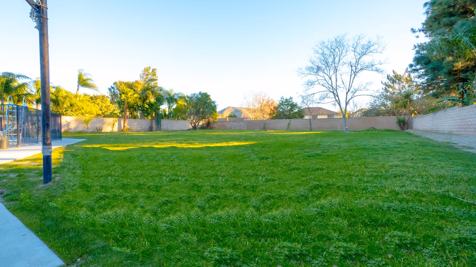 A large grassy outdoor area enclosed by a beige brick wall, with various trees including palm trees and a leafless tree. There is a concrete pathway on the left side and a metal fence enclosing a pool area. The sky is clear and blue.