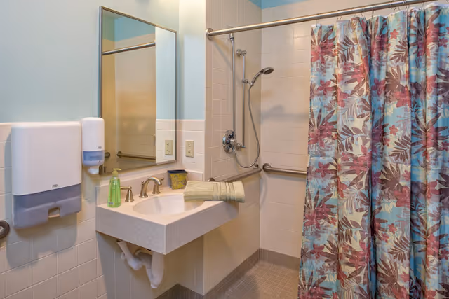 Accessible bathroom with a wall-mounted sink and mirror, soap dispenser, grab bars, handheld showerhead and a floral shower curtain.