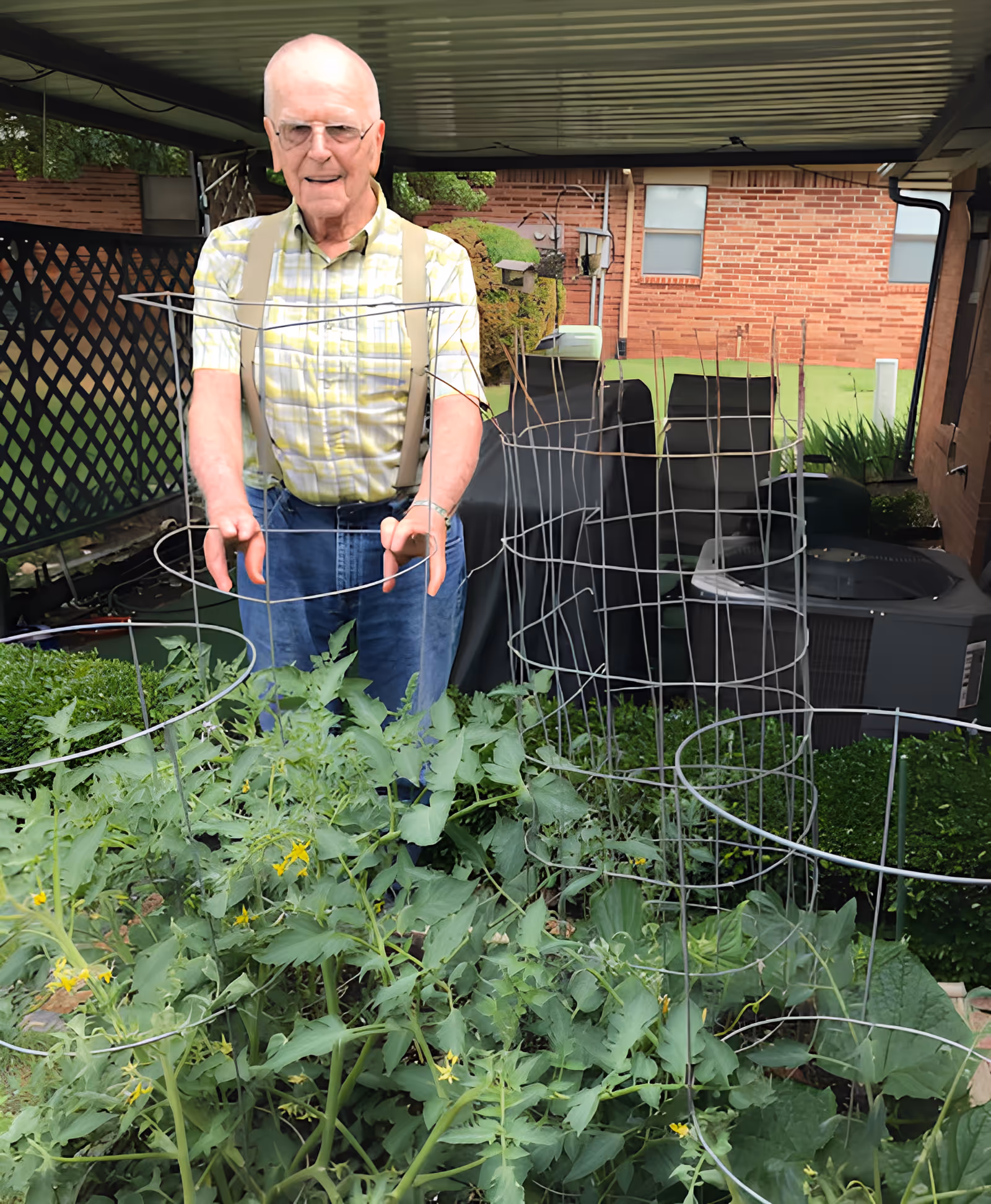 An elderly man wearing glasses, a yellow plaid shirt, and suspenders is standing in a garden under a covered patio. He is tending to green plants supported by wire cages. Behind him, there is outdoor furniture and a brick building.