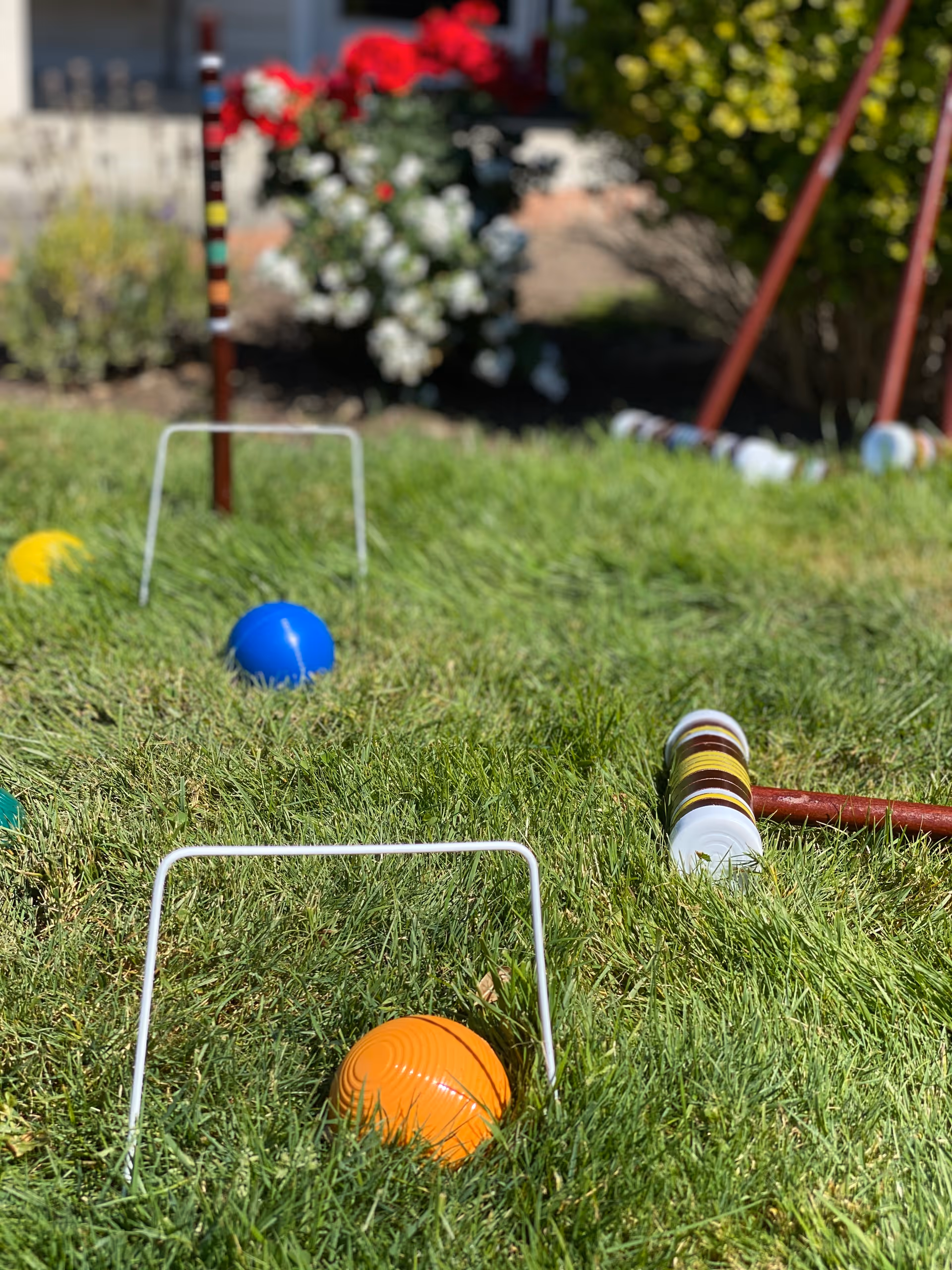 A close-up view of a croquet game set up on green grass with colorful balls, wickets, and mallets. In the background, there are blurred flowers and bushes.