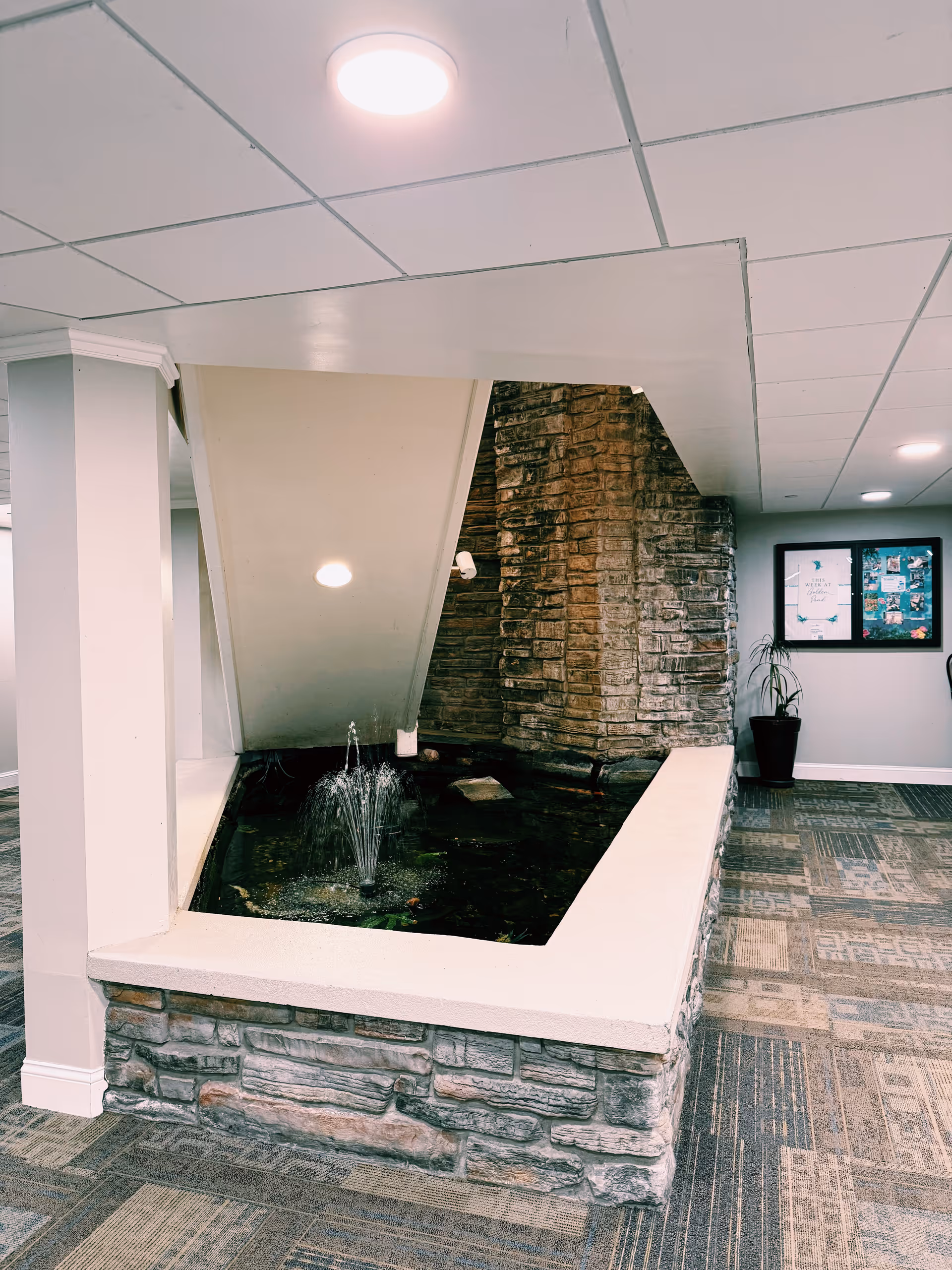 Indoor water feature with a small fountain in a stone-bordered pond located under a staircase in a hallway with carpeted floor and framed pictures on the wall.