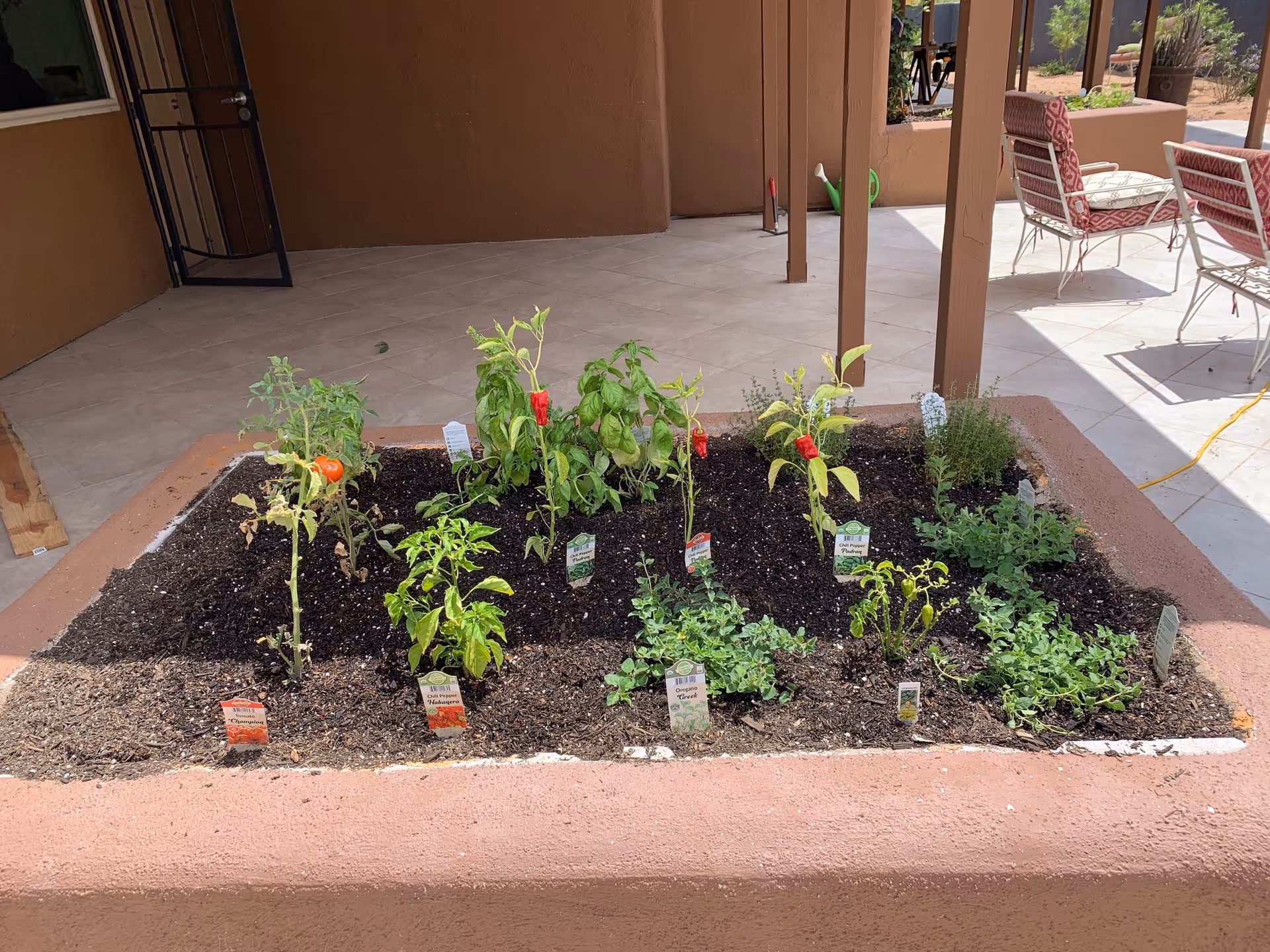 A raised garden bed with various small plants and herbs growing in soil, located on a tiled patio area with brown walls and outdoor chairs with red and white cushions in the background.