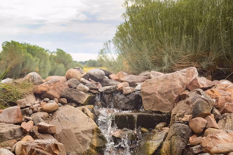 A small rocky stream and waterfall surrounded by large stones and shrubs in a landscaped outdoor setting.