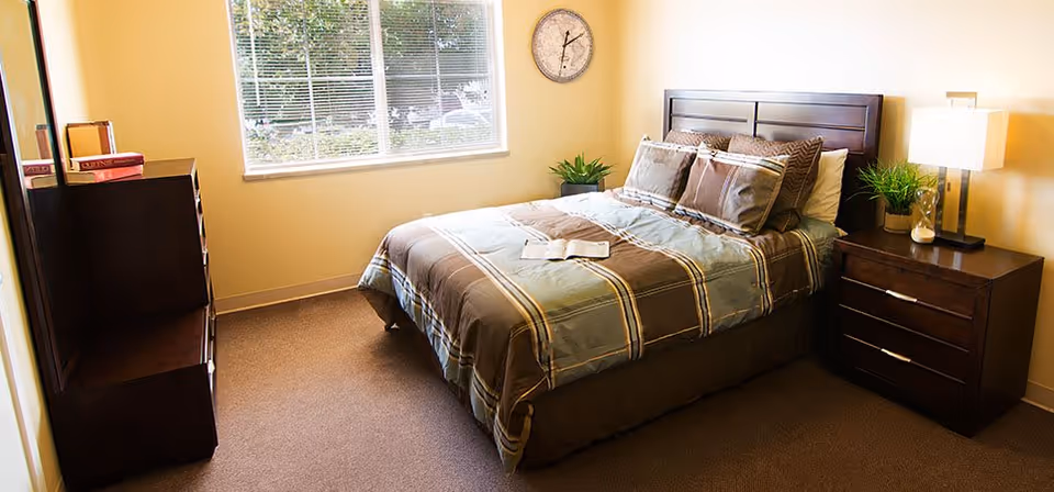 A neatly made bed with a striped comforter and multiple pillows in a bedroom. There is a wooden nightstand with a lamp and a small plant on the right side of the bed. A wooden dresser with books on top is on the left side of the room. A large window with blinds lets in natural light, and a round wall clock is mounted on the wall above the bed.