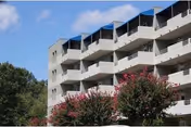 Exterior view of a multi-story residential building with balconies, surrounded by trees and flowering shrubs under a blue sky with some clouds.