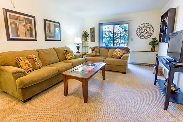 Bright living room with two olive-green sofas, a wooden coffee table, a TV on a stand, and a window letting in natural light.
