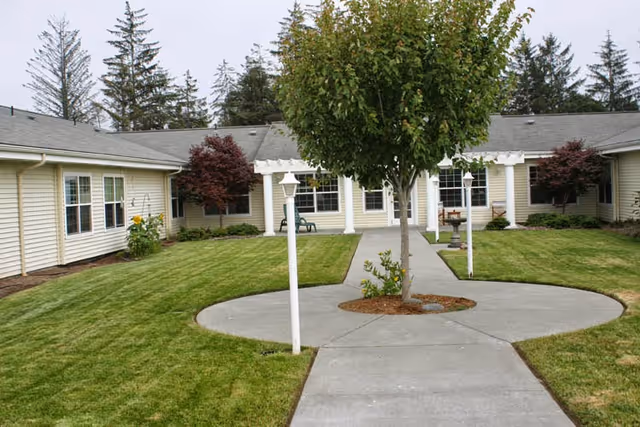 A courtyard with a central tree and circular concrete walkway leading to a pergola in front of a single-story residential building.