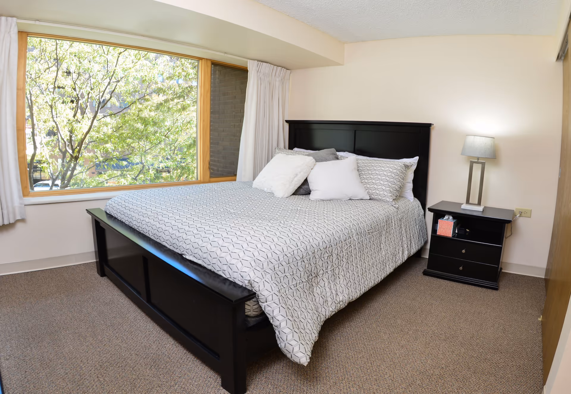A bedroom with a large window showing green trees outside. The room has a black wooden bed frame with a patterned bedspread and several pillows. Next to the bed is a black nightstand with a modern lamp and a box of tissues.