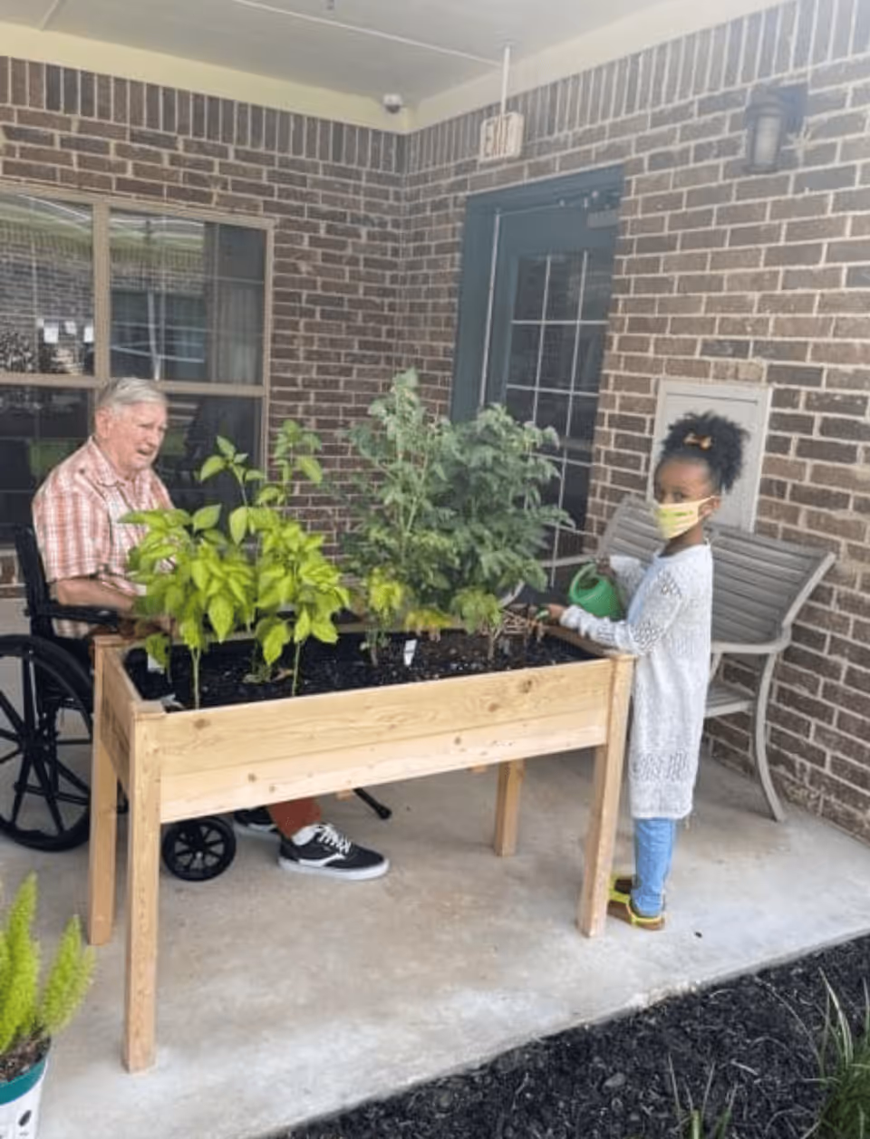 An elderly man in a wheelchair and a young girl wearing a face mask are tending to a raised garden bed with green plants on a covered patio with brick walls. The girl is watering the plants with a green watering can.