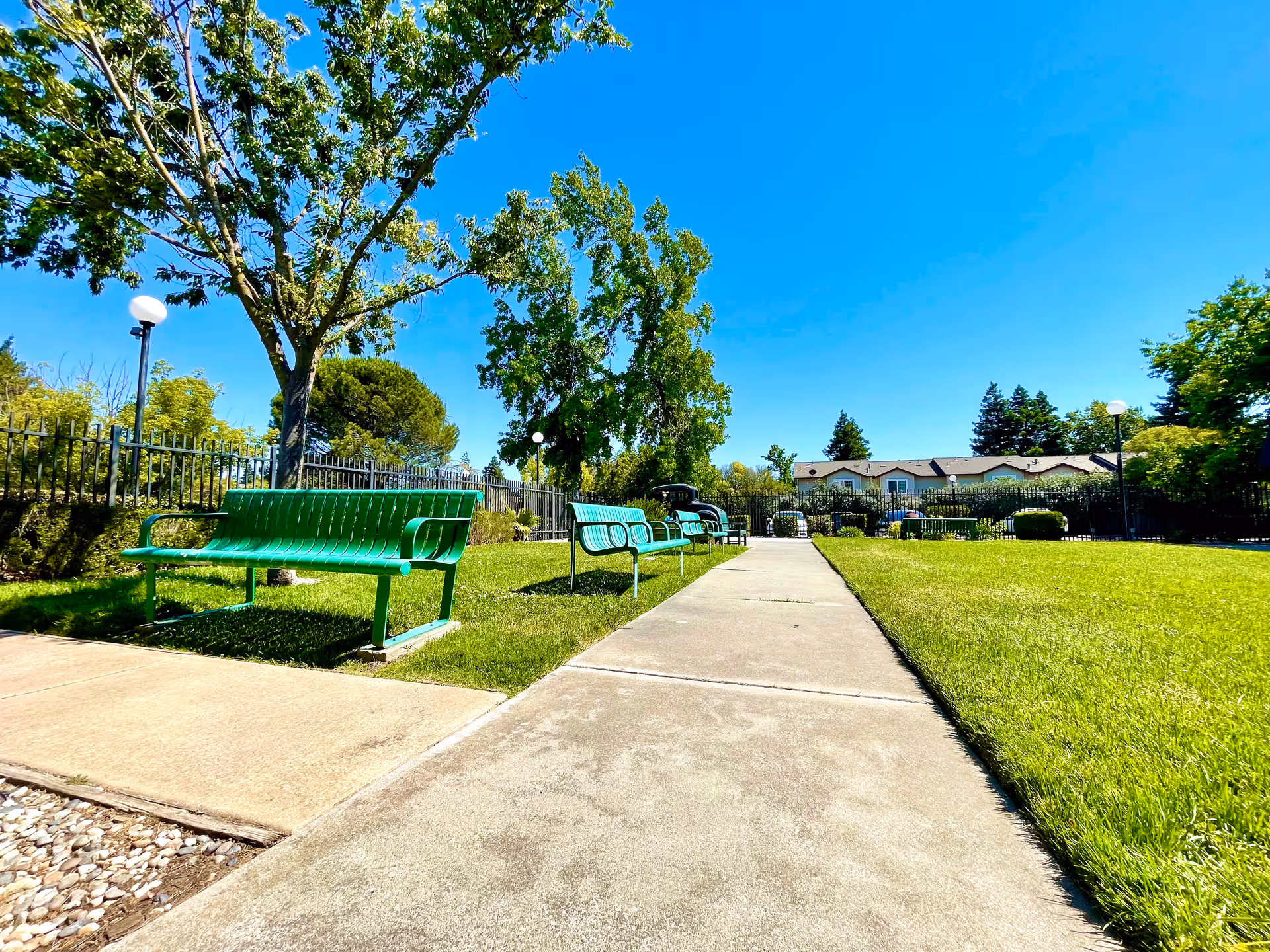A sunny outdoor garden area with a concrete walkway flanked by green metal benches and well-maintained grass. Trees and shrubs surround the area, and a building is visible in the background under a clear blue sky.