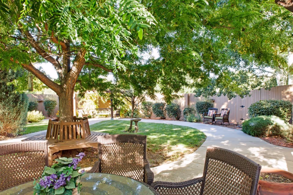 Shaded courtyard with a large tree surrounded by a wooden bench, patio table and chairs, a curved walkway, and landscaped shrubs.