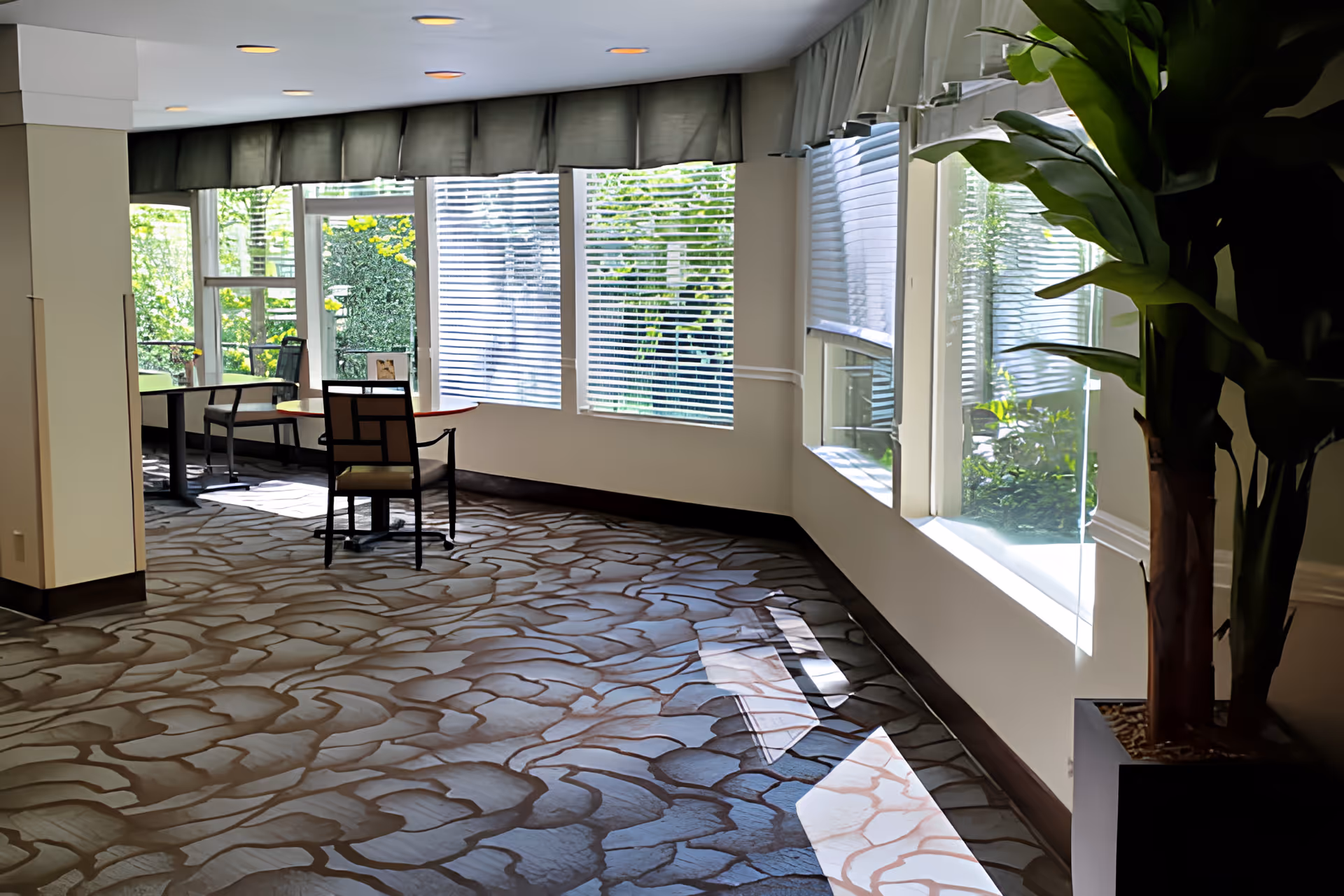 Sunlit senior living common area with chairs and tables by large windows and a potted plant.