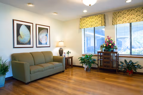 A cozy living room with a green sofa, two framed shell prints on the wall, a side table with a lamp and small plant, and a wooden cabinet with a flower arrangement in front of two large windows with yellow patterned valances. Several potted plants are placed around the room on a wooden floor.