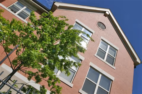 Upward view of a brick building with multiple windows and a tree with green leaves in front, under a clear blue sky.