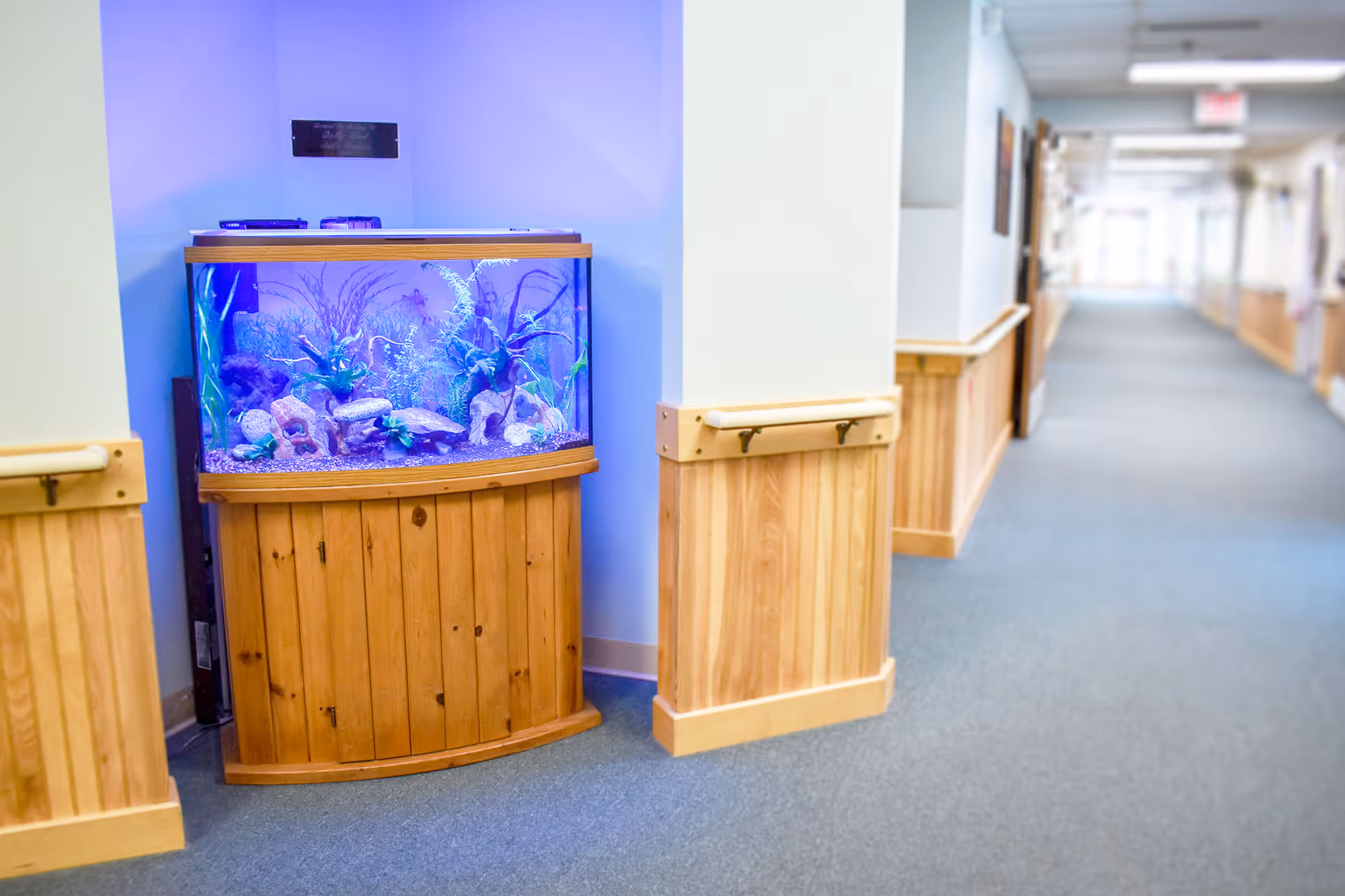 Interior hallway of a senior living facility with a lit aquarium in a wooden cabinet set into the wall.