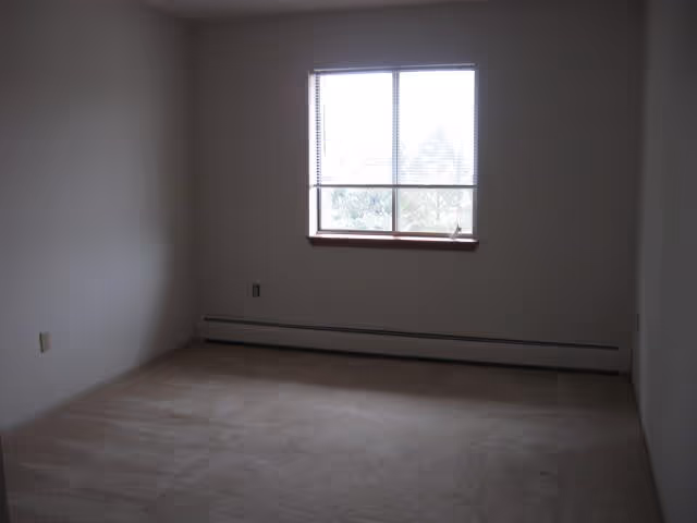 Empty carpeted room with a single window and a baseboard heater beneath it.