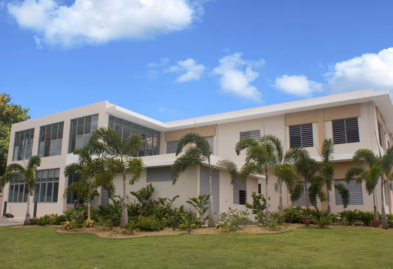 Exterior view of a modern two-story building with large windows, surrounded by palm trees and landscaped greenery under a partly cloudy blue sky.