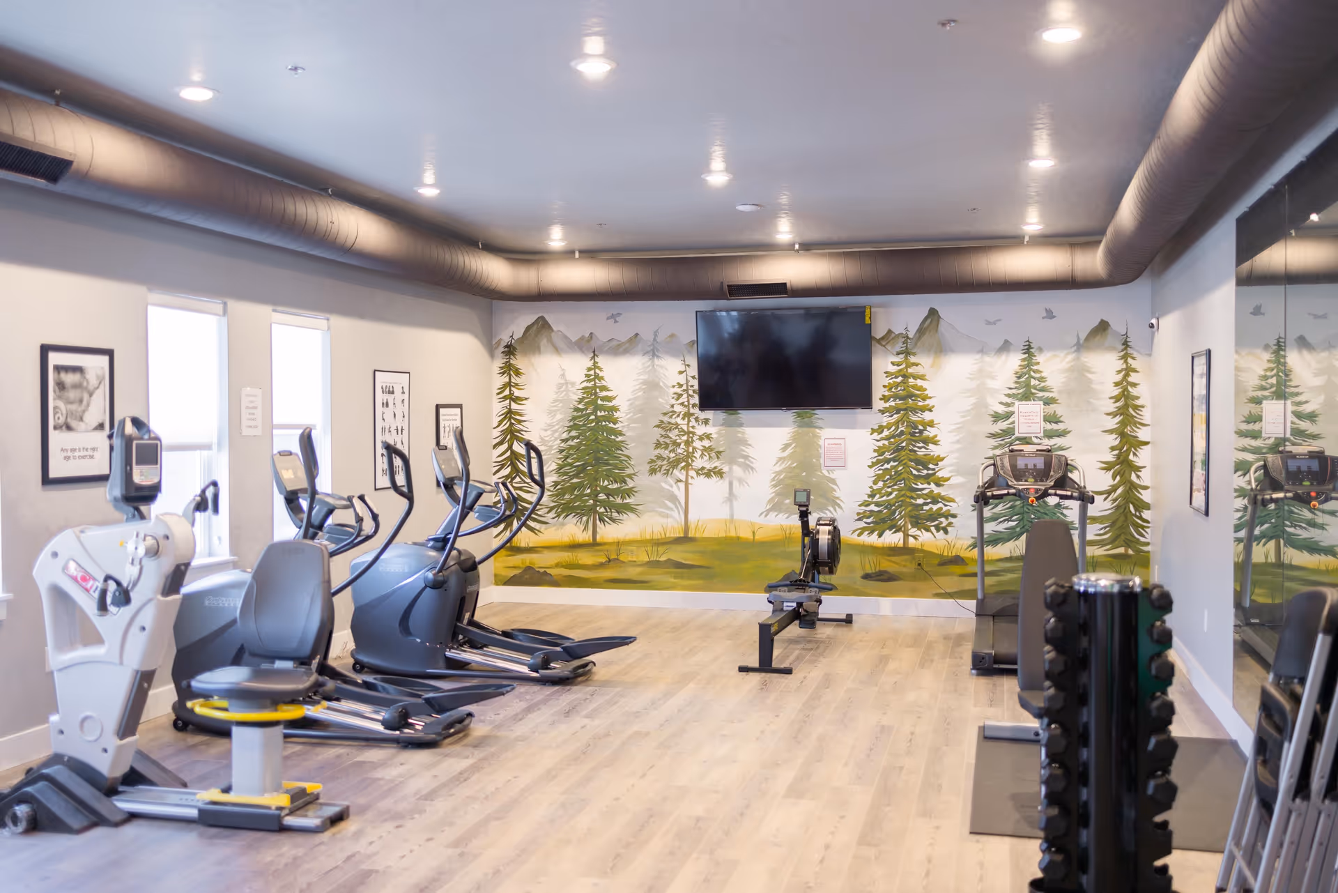 A fitness room with exercise equipment including elliptical machines, a rowing machine, and a treadmill. The room has light wood flooring, a large wall mural of pine trees and mountains, a flat-screen TV mounted on the wall, and a rack of dumbbells. There are windows on one side and a large mirror on the other wall.