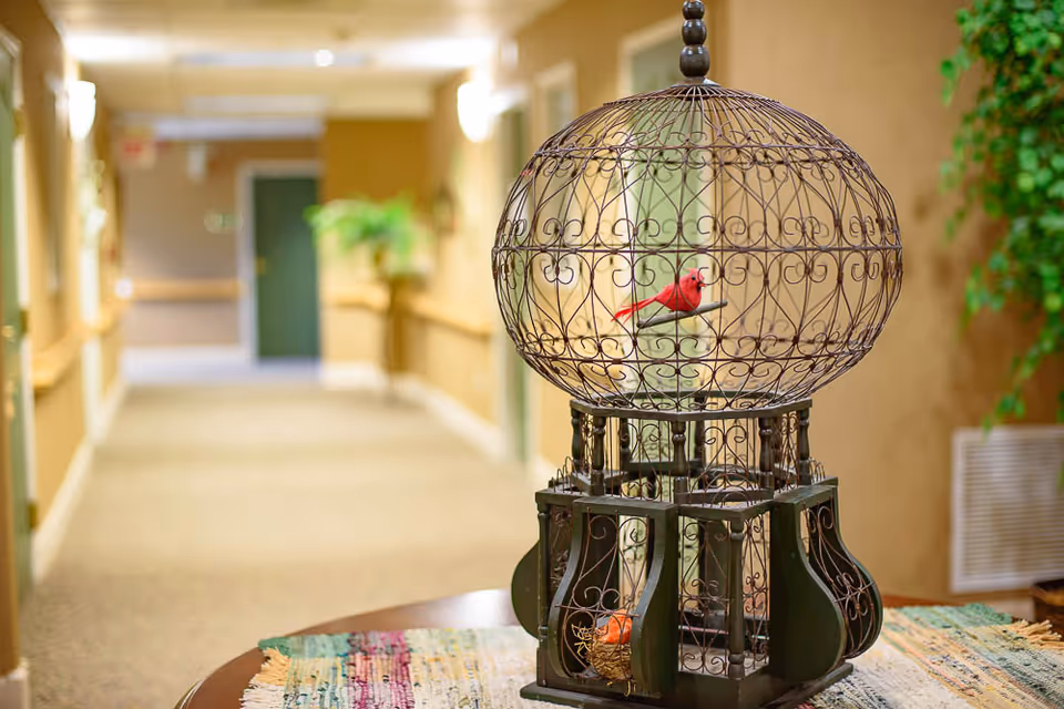 A decorative birdcage with a red artificial bird inside sits on a table covered with a colorful woven cloth in a well-lit hallway of a senior living facility. The hallway has beige walls, green doors, and plants along the sides.