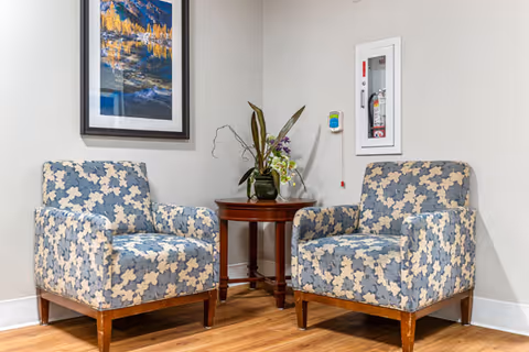 Two patterned armchairs flanking a small wooden side table with a plant in a corner seating area.