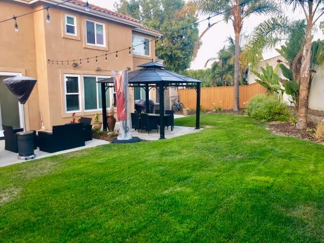 A backyard area of a residential facility with a well-maintained green lawn, a beige two-story building, a black metal gazebo with outdoor seating underneath, string lights hanging above, palm trees, and a wooden fence enclosing the yard.