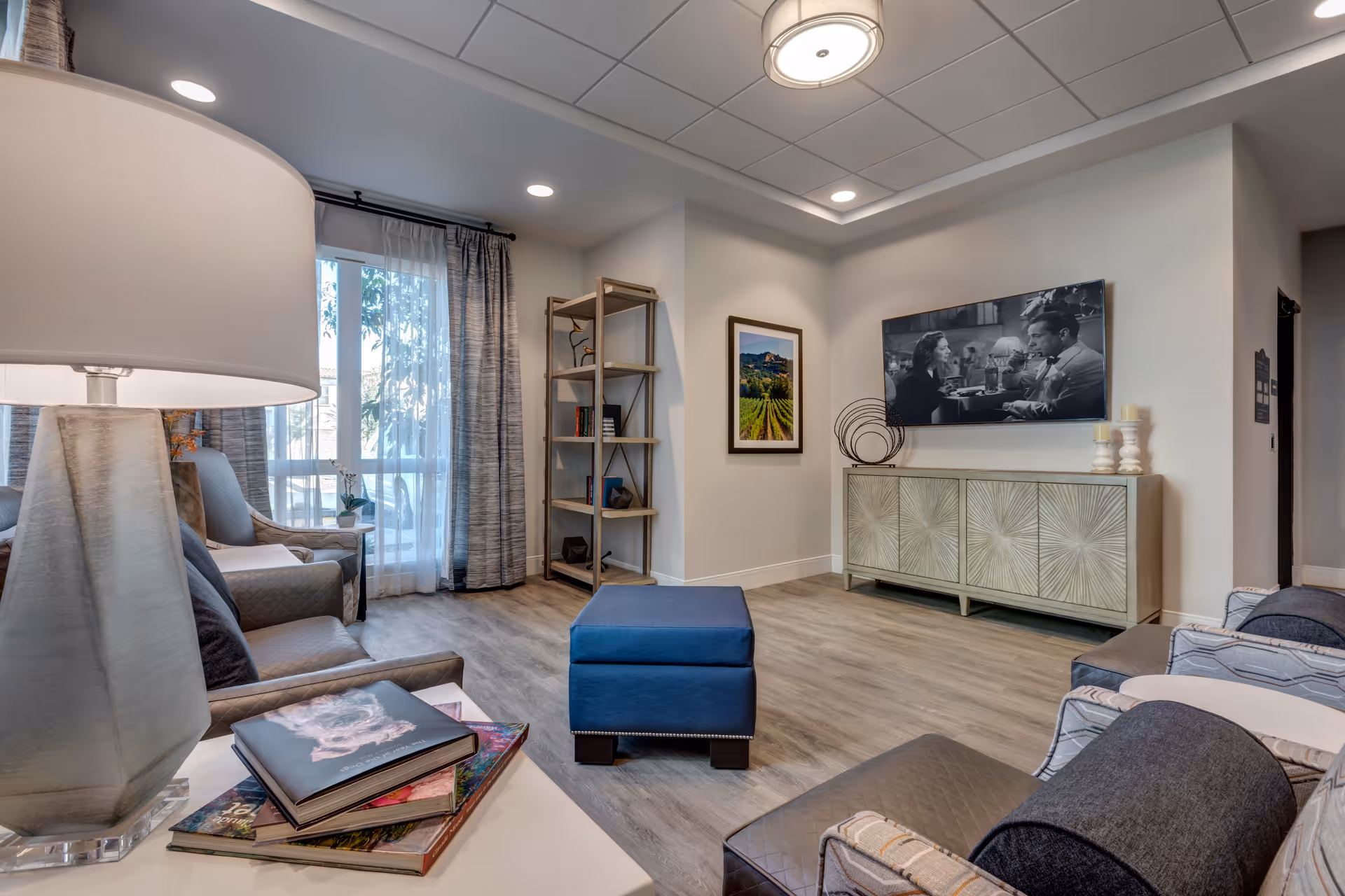 A modern living room with a large window covered by sheer and patterned curtains, several armchairs with cushions, a blue ottoman in the center, a decorative shelving unit, a framed landscape photograph on the wall, and a flat-screen TV displaying a black and white movie scene above a stylish sideboard. A table lamp and some books are visible in the foreground.