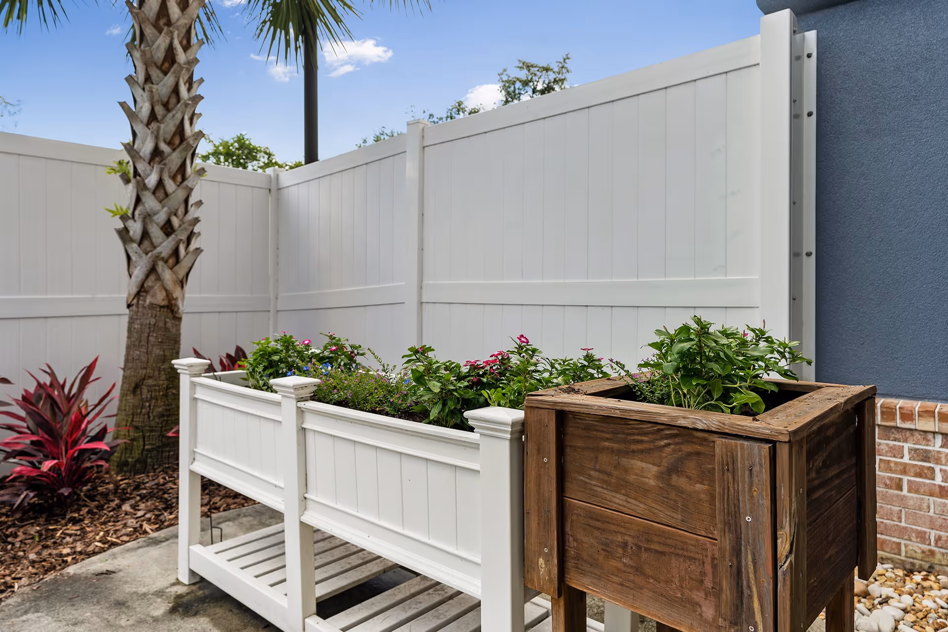 Outdoor garden area with a white privacy fence, a palm tree, and two raised planter boxes containing green plants and flowers. One planter box is white and the other is wooden. There are also some red-leafed plants and a blue wall with brick trim visible on the right side.