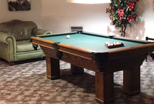 A room with a green felt pool table set up for a game, a green leather armchair to the left, a potted plant with red flowers in the corner, and a patterned carpeted floor.