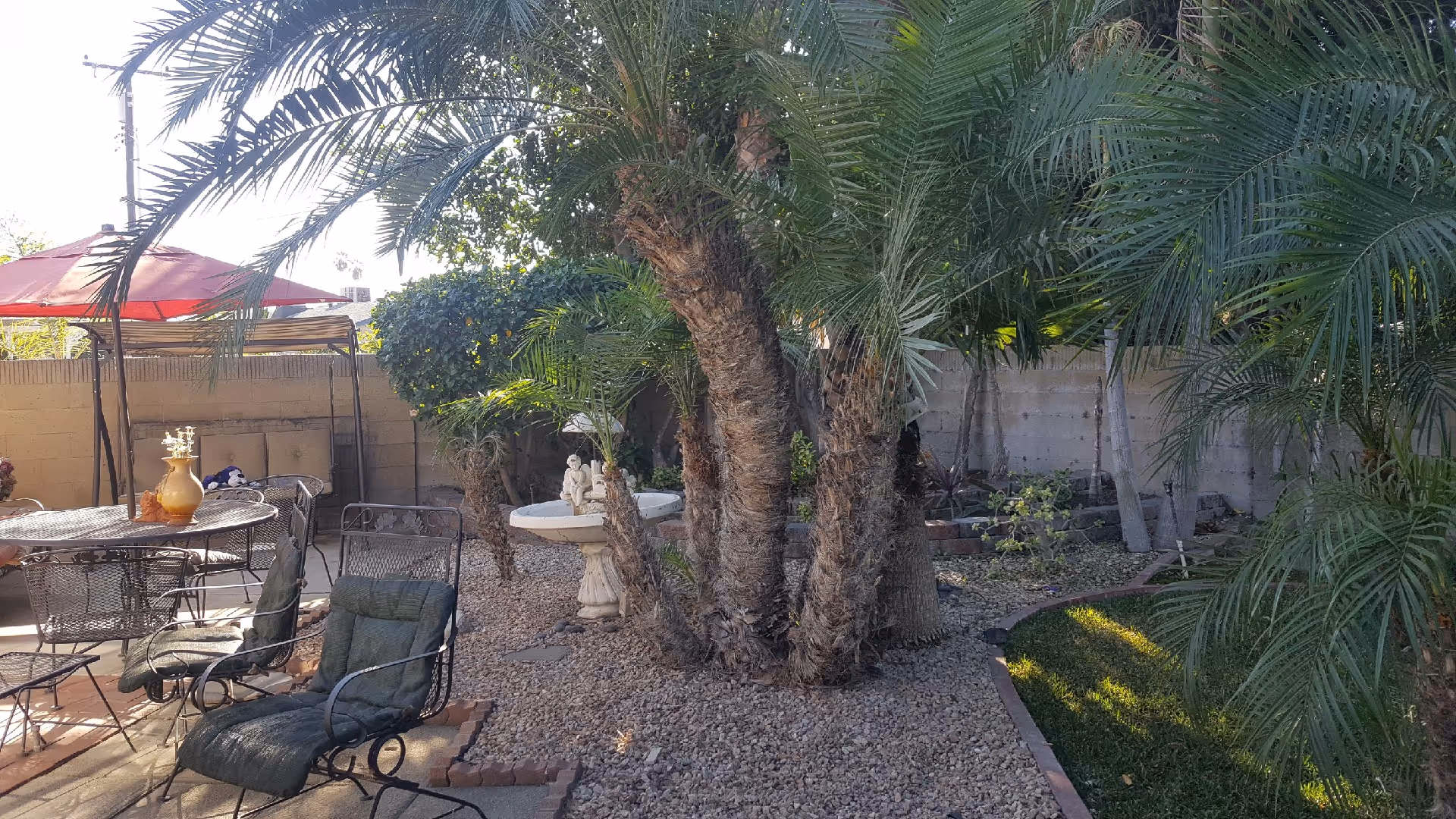 Outdoor patio area with metal chairs and a round table under a red umbrella. There are palm trees and other greenery surrounding the space, with a stone birdbath and a brick border separating gravel and grass areas.