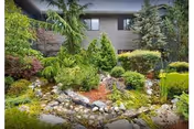 A landscaped rock garden with shrubs and evergreen trees in front of a two-story building with windows.