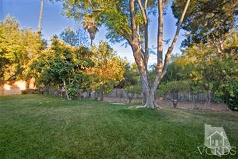 A grassy outdoor area with several trees and bushes under a clear blue sky, enclosed by a wooden fence.