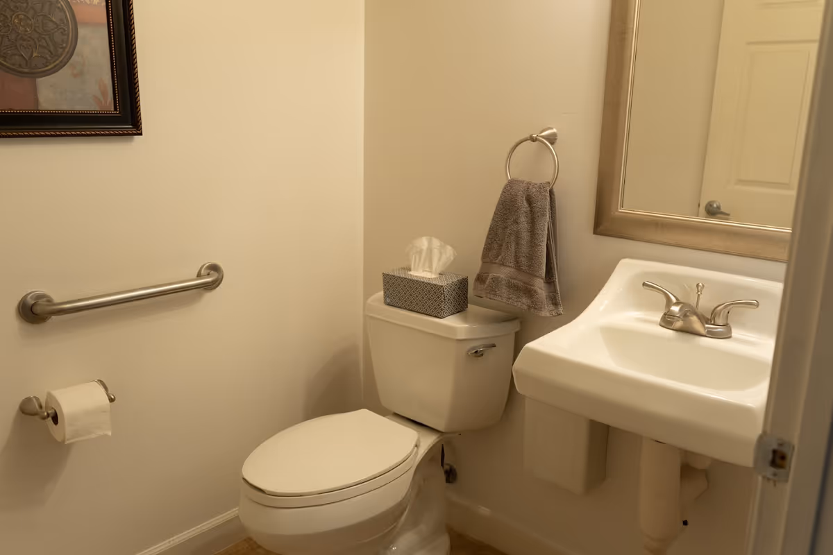 A small bathroom with a white toilet, a tissue box on top of the toilet tank, a towel hanging on a ring next to a white sink with a silver faucet, a mirror above the sink, a toilet paper holder with a roll of toilet paper, and a grab bar on the wall. A framed decorative picture is partially visible on the left wall.