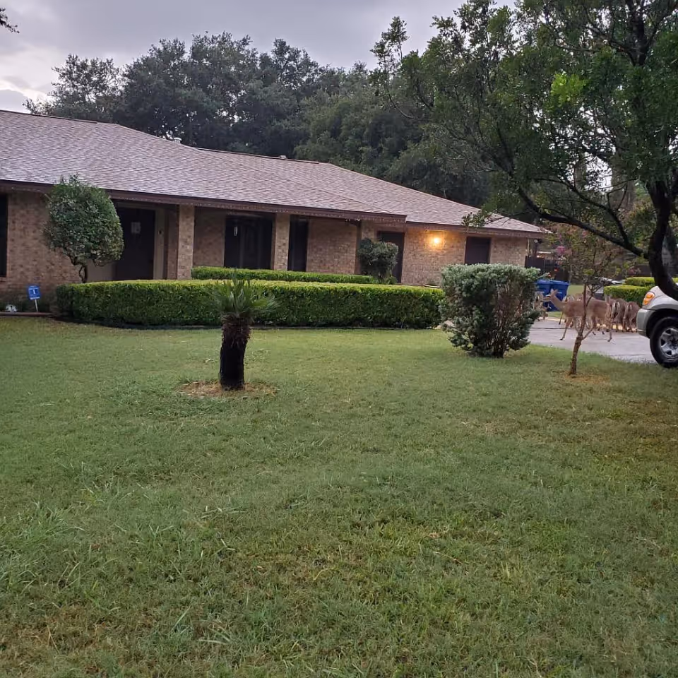 A single-story brick building with a shingled roof surrounded by a well-maintained lawn and trimmed bushes. Several deer are walking near a driveway on the right side of the image, next to a parked vehicle. Trees and greenery are visible in the background under a cloudy sky.