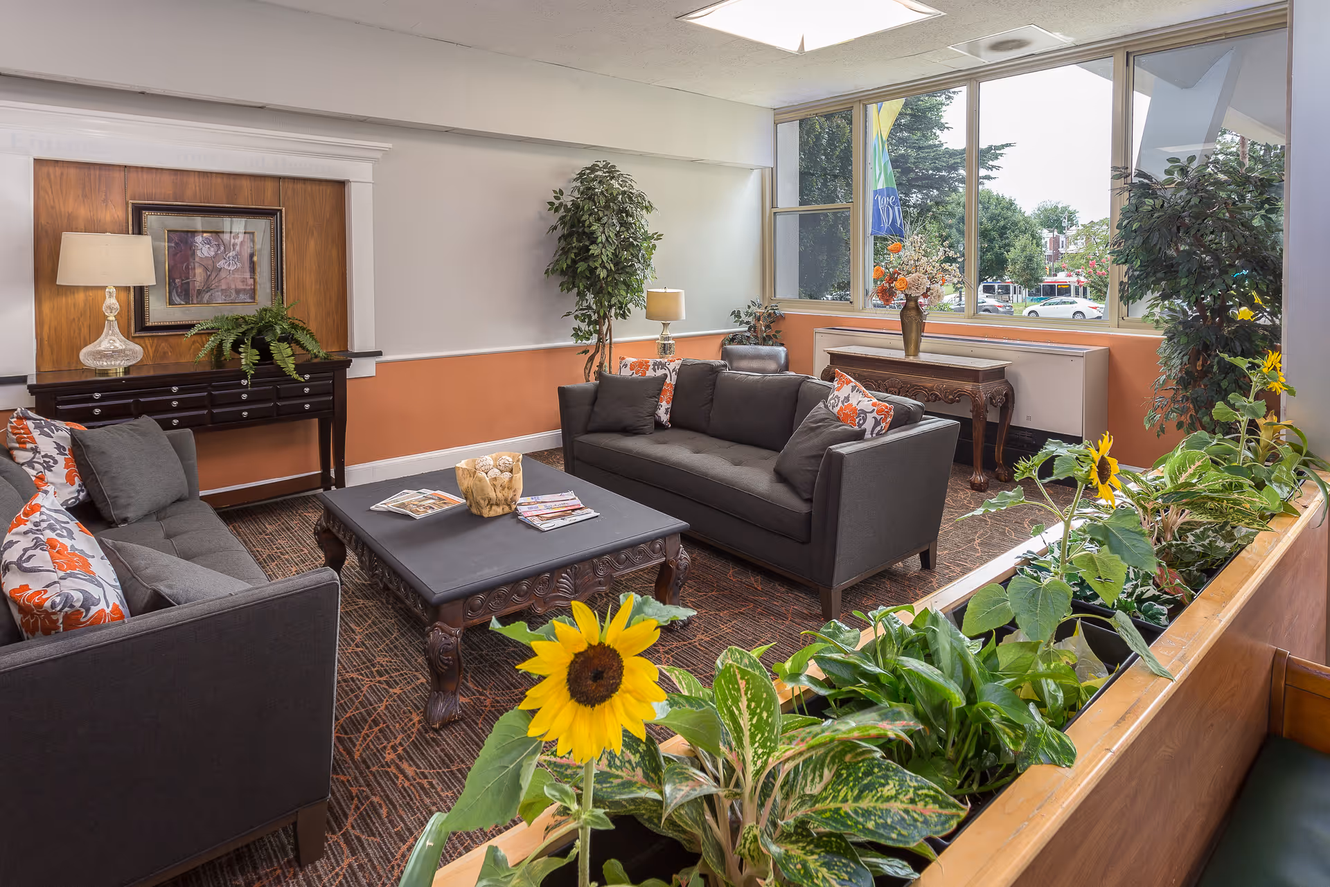 A cozy living room area with two dark gray sofas adorned with patterned pillows, a dark wooden coffee table with magazines and a decorative bowl, and various green plants including sunflowers in the foreground. The room has large windows letting in natural light and a view of trees and cars outside. There is a wooden console table with a lamp and framed artwork on the wall behind one sofa.