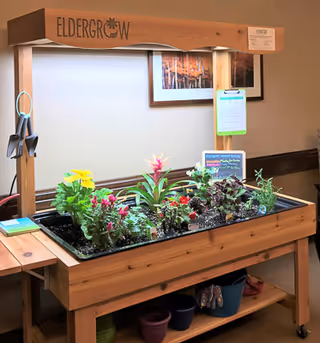 Indoor wooden 'Eldergrow' planting station with assorted flowering and foliage plants under grow lights in a common area.