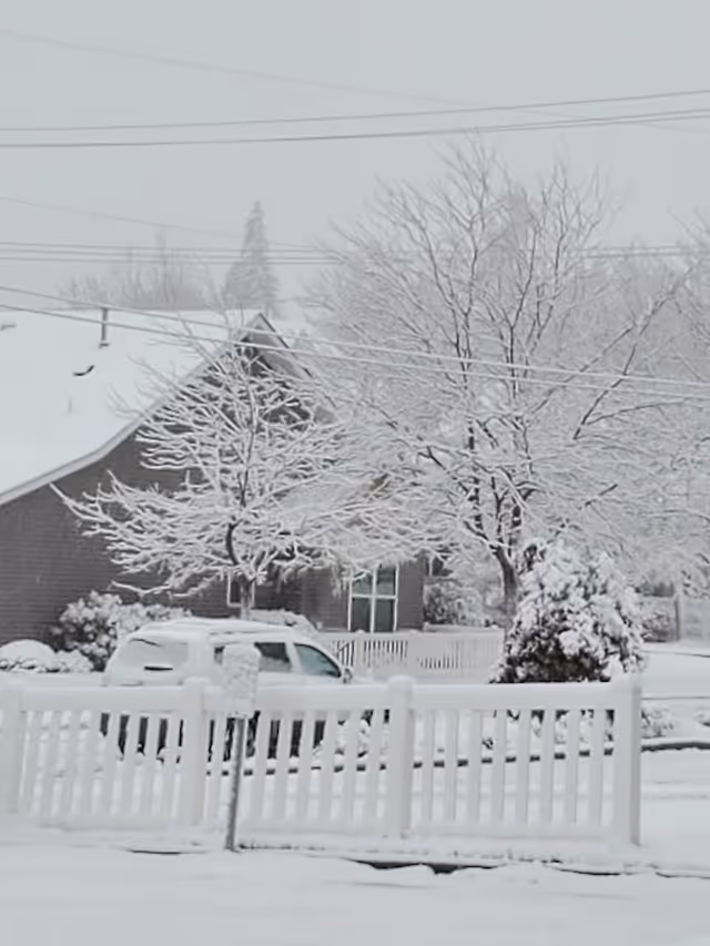 Snow-covered residential area with a house, trees, a white picket fence, and a parked vehicle, all blanketed in fresh snow under an overcast sky.
