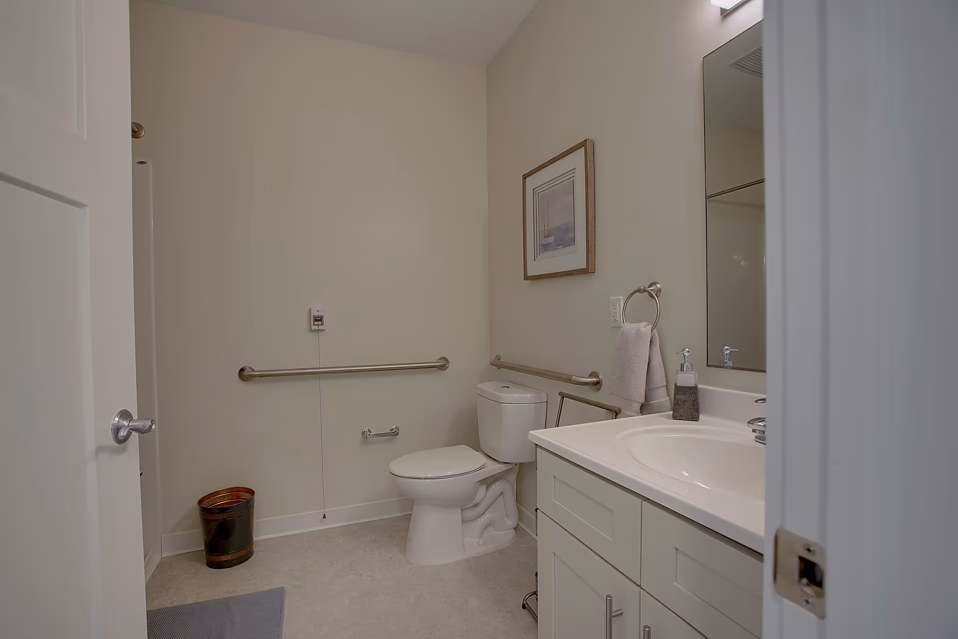 A clean and accessible bathroom with a white toilet, white vanity with sink, a large mirror, grab bars on the walls, a towel hanging on a ring, a framed picture on the wall, and a small trash can on the floor.