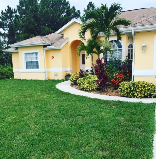 Yellow single-story house with a curved walkway, palm trees and a landscaped front lawn.