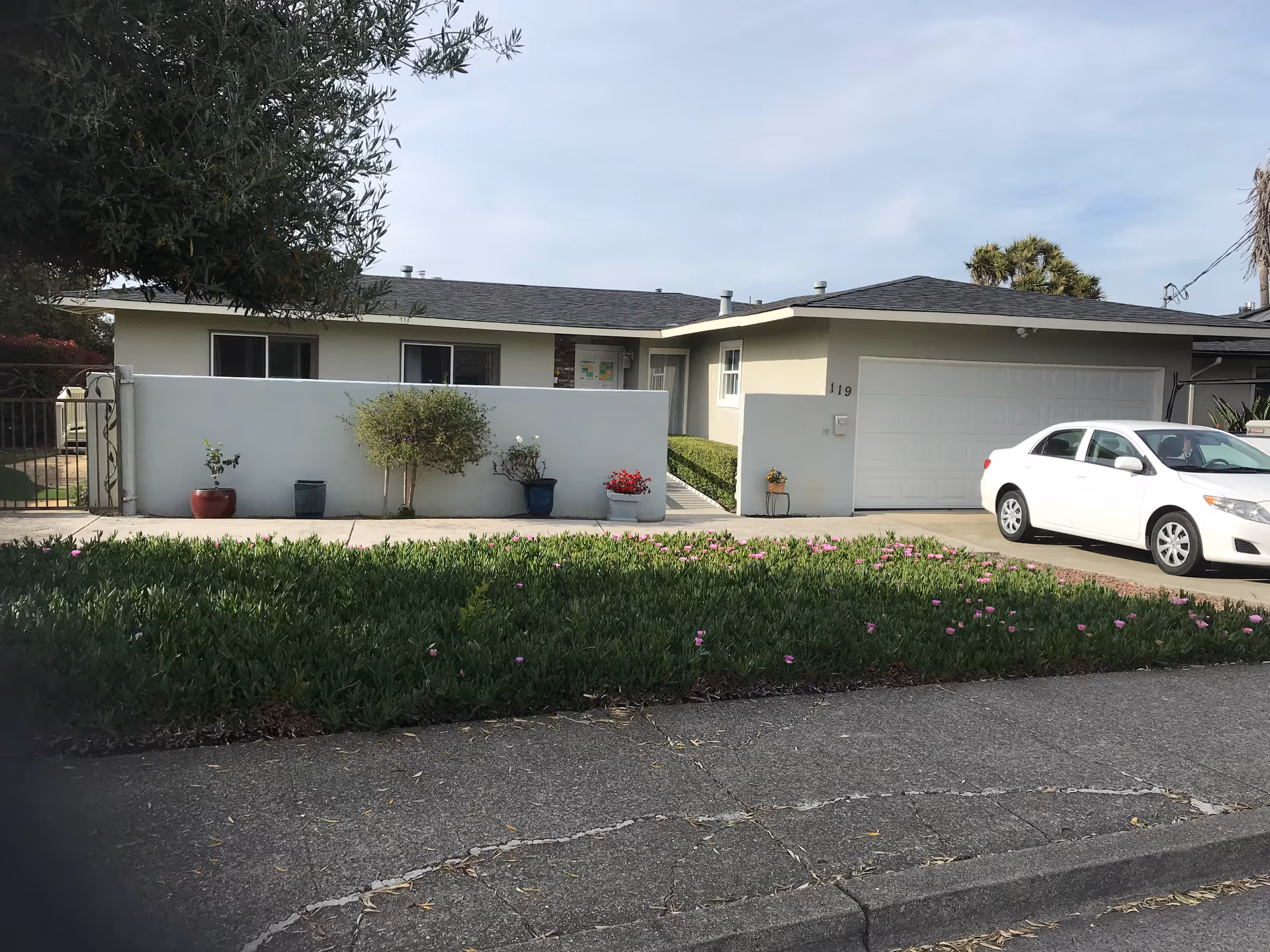 Single-story house front with a low wall, potted plants, driveway and a white car parked by the garage.