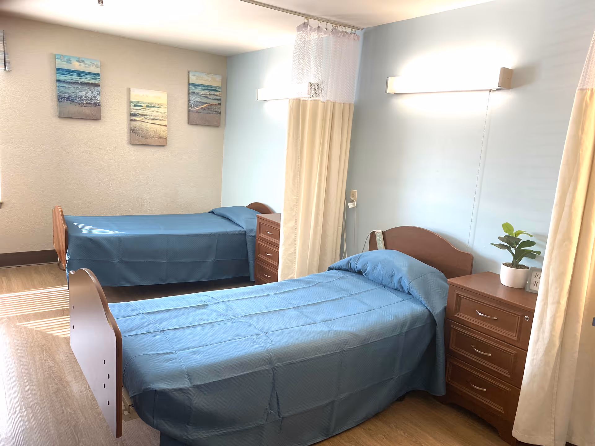 A bright room with two single beds covered in blue bedspreads, each accompanied by a wooden nightstand. A privacy curtain hangs between the beds. The walls are light blue and white, decorated with three beach-themed paintings. A small potted plant sits on one of the nightstands.